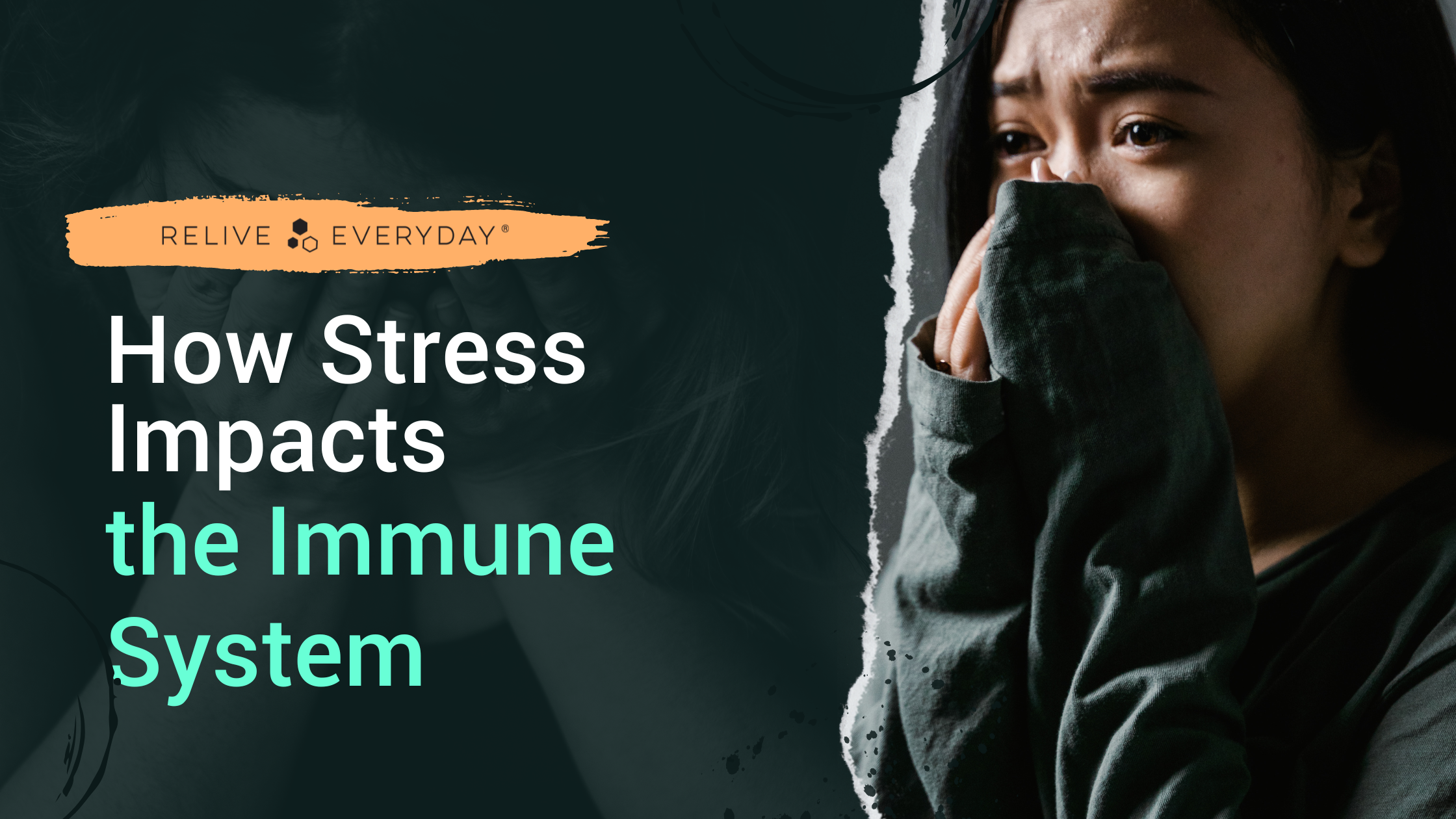 020623 How Stress Impacts the Immune System Blog Banner