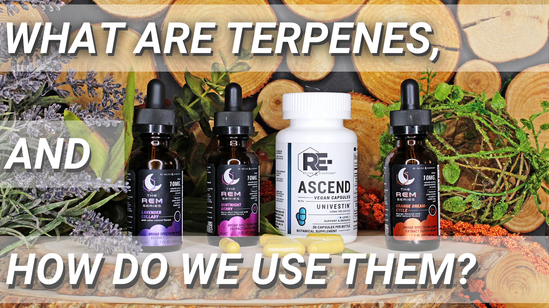 WHAT ARE TERPENES, AND HOW DO WE USE THEM Banner Blog